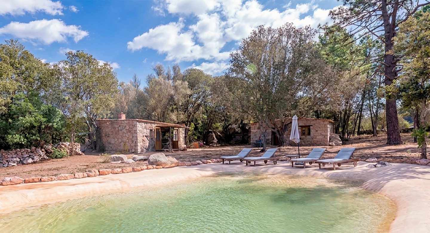 Piscine Bergerie A Vigna - Domaine de Chiterbio - Porto-Vecchio - Corse