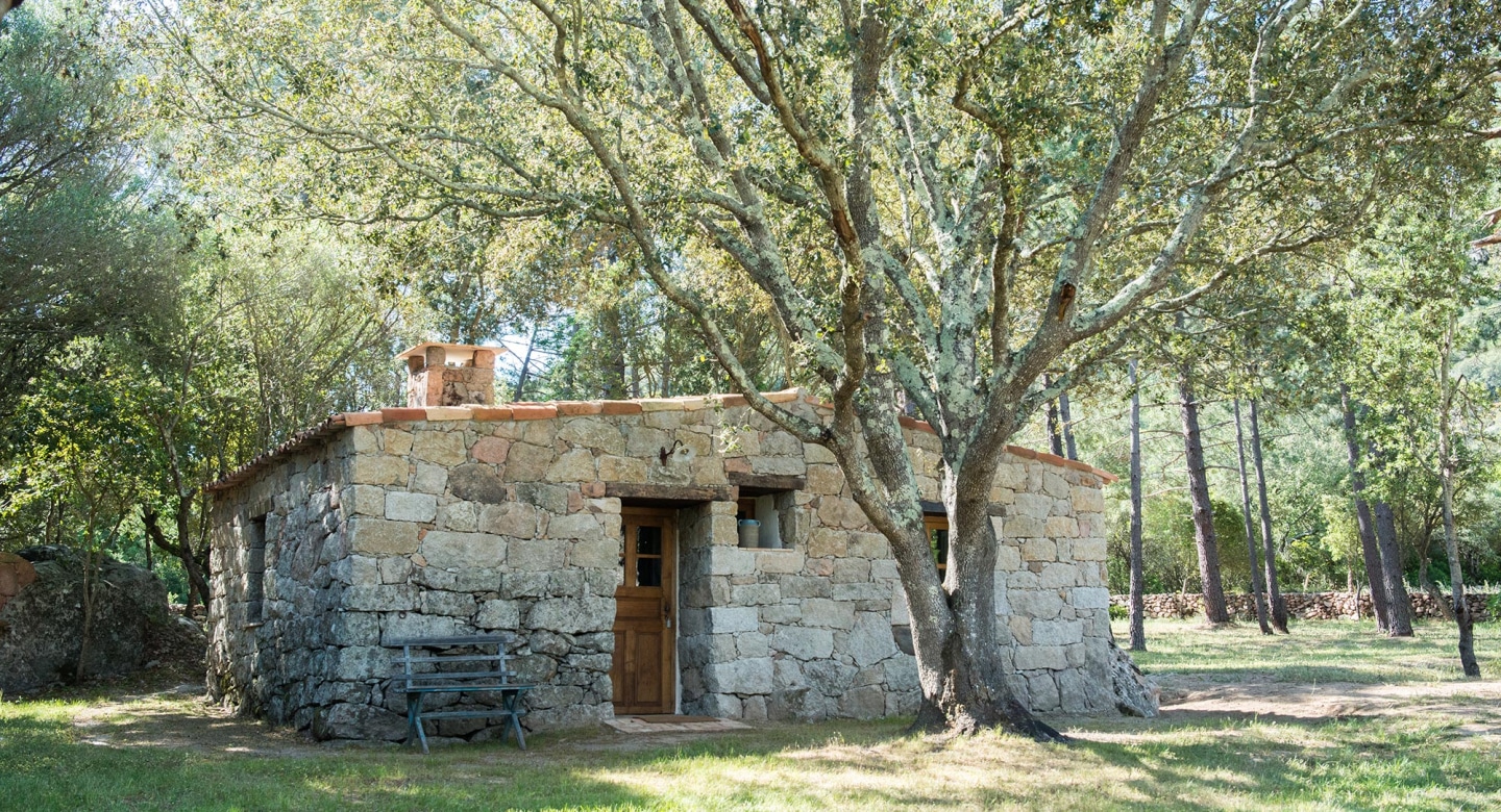 Bergerie A Vigna - Domaine de Chiterbio - Porto-Vecchio - Corse