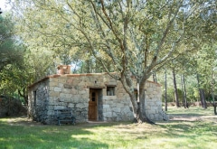 Bergerie A Vigna - Domaine de Chiterbio - Porto-Vecchio - Corse